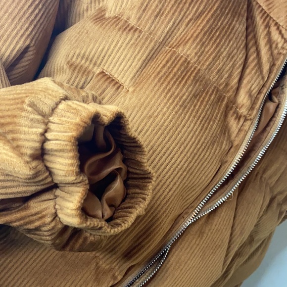 Jacket - Picture 4 of 11